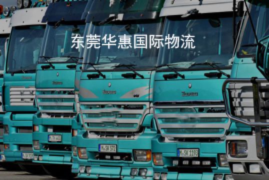 突尼斯国际快递专线能取代海运吗+东莞华惠 突尼斯国际快递专线能取代海运吗+东莞华惠
