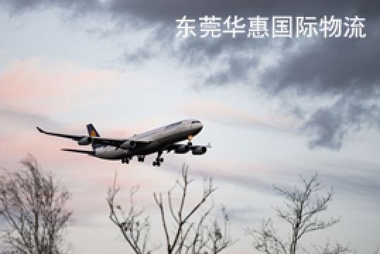 虎门镇寄美国亚马逊物流操作流程+东莞华惠