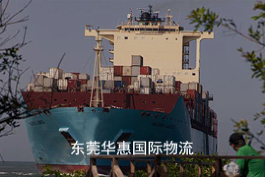 这里有寮步国际海运费用报价+东莞华惠