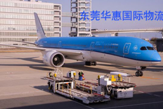 东莞虎门寄越南国际空运电池包装方法+东莞华惠