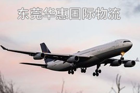 东莞东城发美国国际空运什么是完税证明+东莞华惠