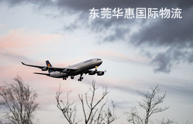 寮步国际空运加拿大.jpg
